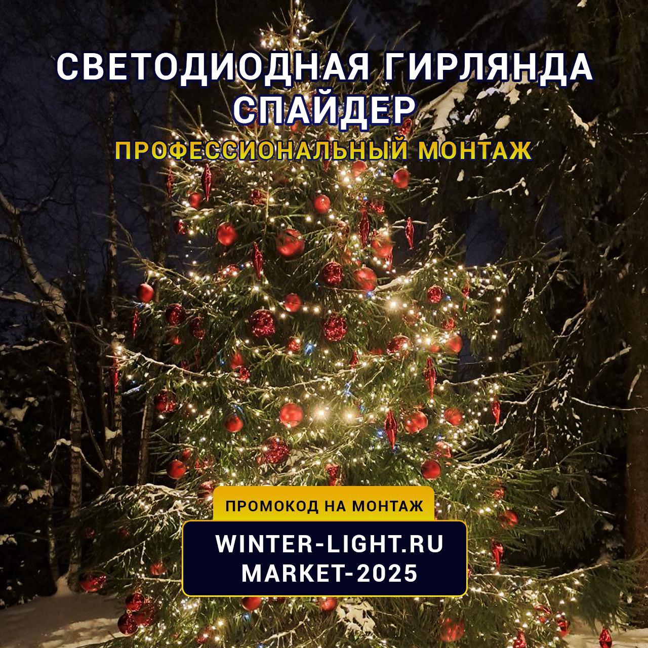 карточка8 копия